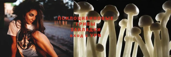 альфа пвп Бородино