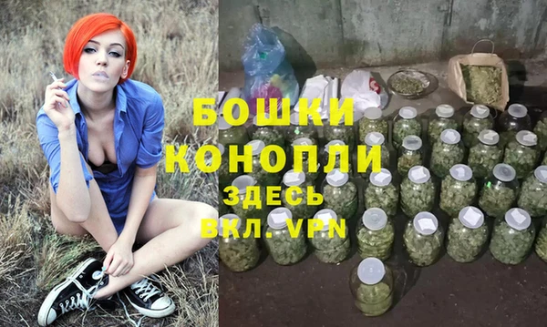 метамфетамин Богданович